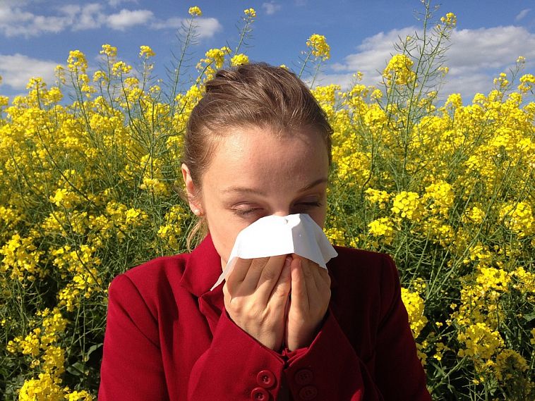 Враг ожидает за окном: боремся с аллергией немедикаментозными средствами