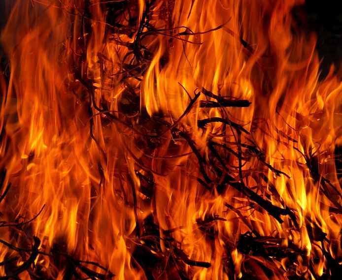 В Оренбуржье горят заповедники: за пять дней - 5 пожаров
