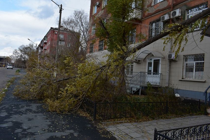 Коммунальщики рассказали, как устраняются последствия штормового ветра в Новотроицке