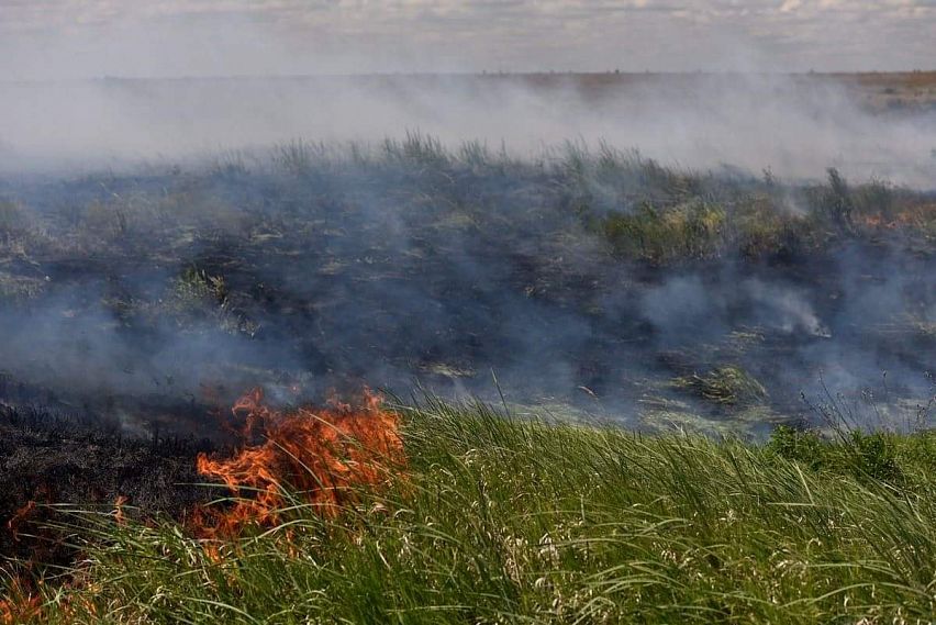 В Оренбургской области с 25 июля объявлен режим ЧС: гибель урожая, степные пожары