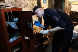 Новотройчане совершили разбойное нападение в Оренбурге