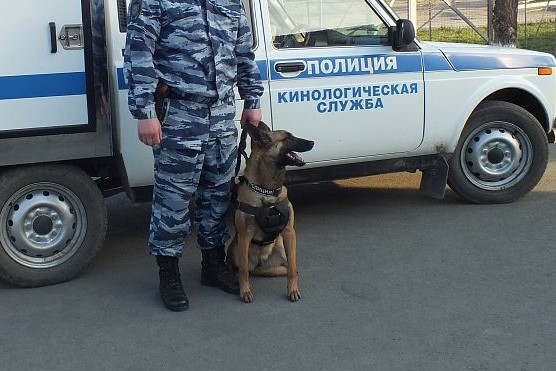 В Орске эвакуировали детские сады, школы, колледжи, вуз и суды