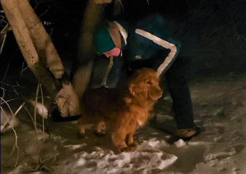 В Новотроицке кинолог со служебной собакой помог обнаружить тайник с наркотиками