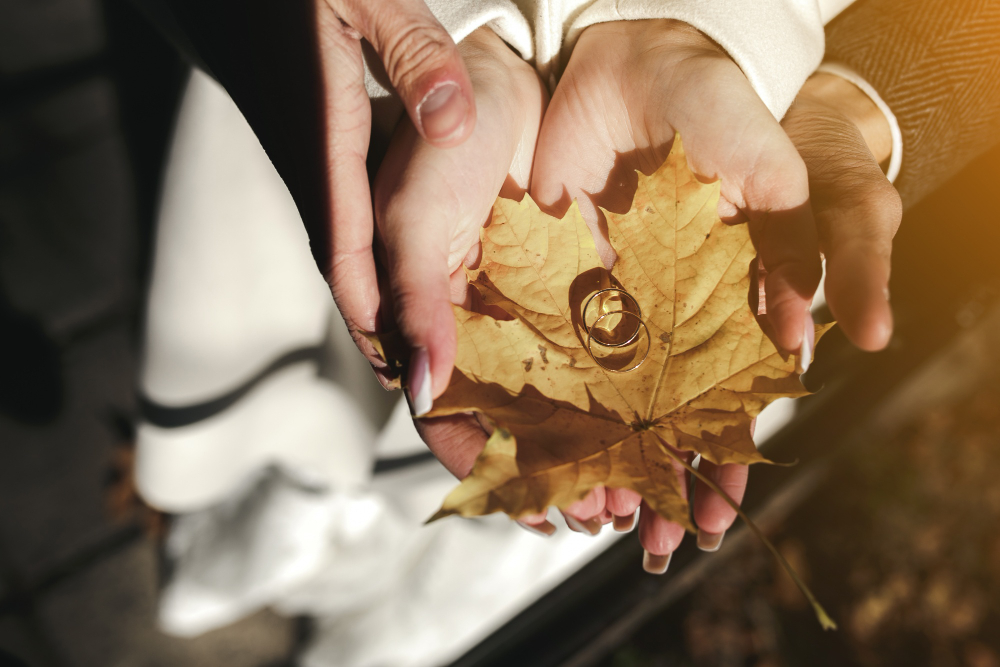 engagement-rings-on-a-dry-leaf.jpg