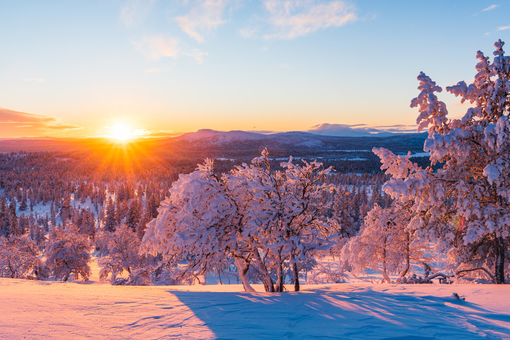 a-breathtaking-view-of-a-forest-covered-with-snow-during-sunset-in-norway.jpg