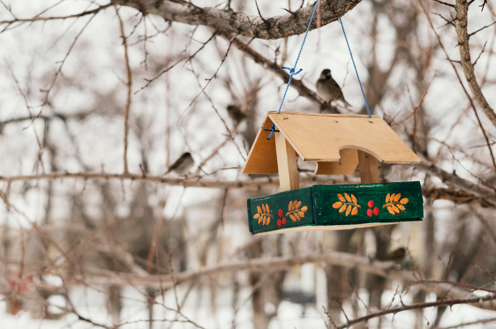 front-view-of-birdhouse-hanging-on-the-tree-outside-in-winter (1).jpg