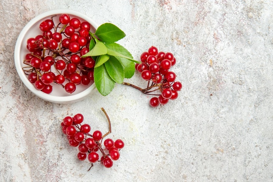 top-view-red-cranberries-fresh-fruits-on-a-white-table-fresh-berry-red-fruit.jpg