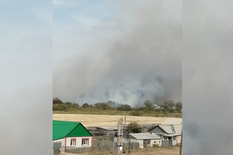 v-rayone-poselka-adamovka-idet-borba-s-landshaftnym-pozharom_1662114005454895862__2000x2000.jpg