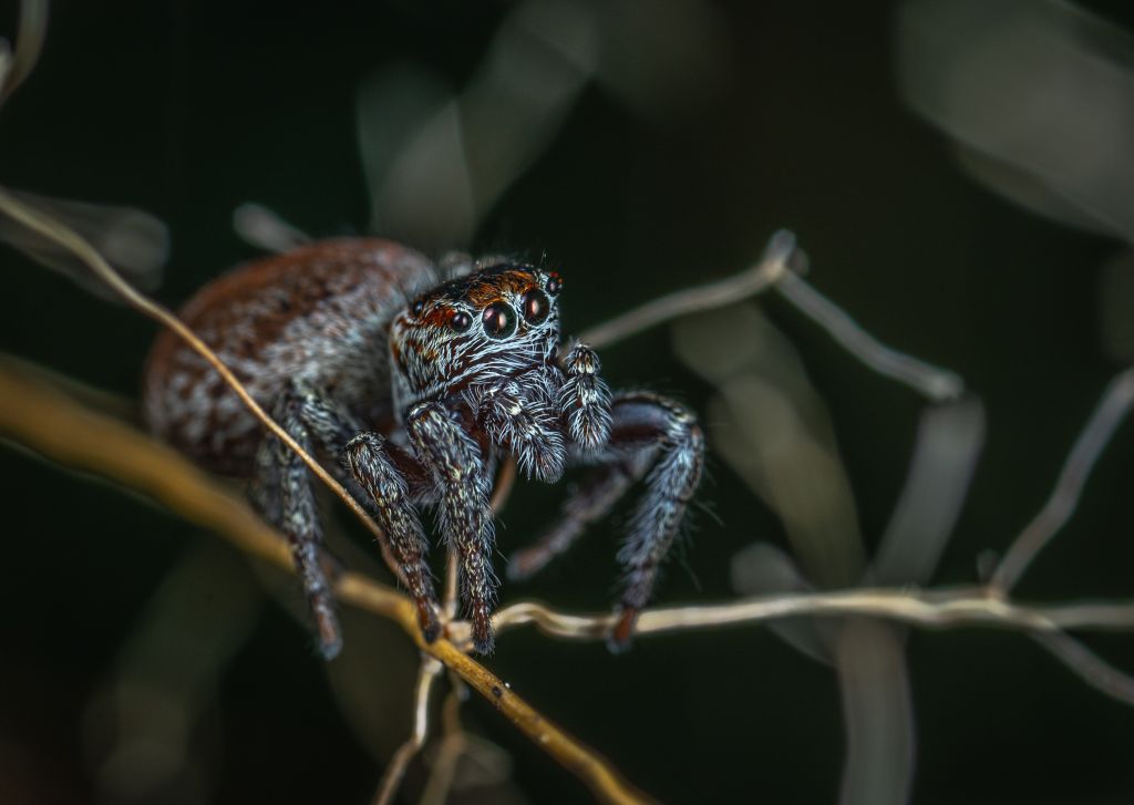 pexels-egor-kamelev-2901836.jpg pexels-egor-kamelev-2901836.jpg