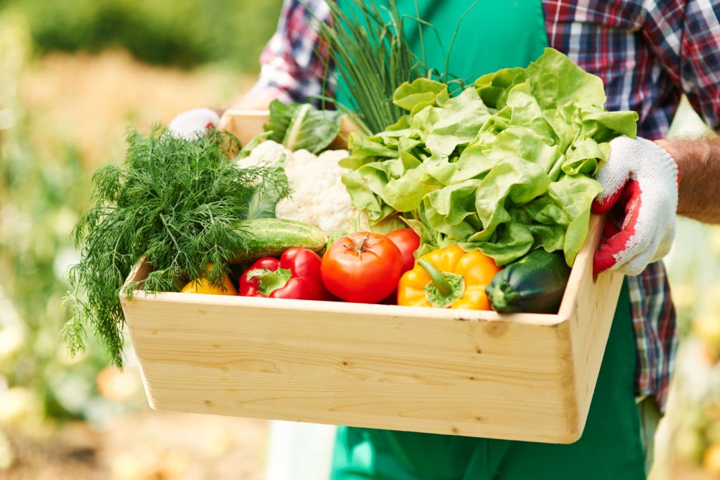 close-up-of-box-with-vegetables-in-hands-of-mature-man (1).jpg