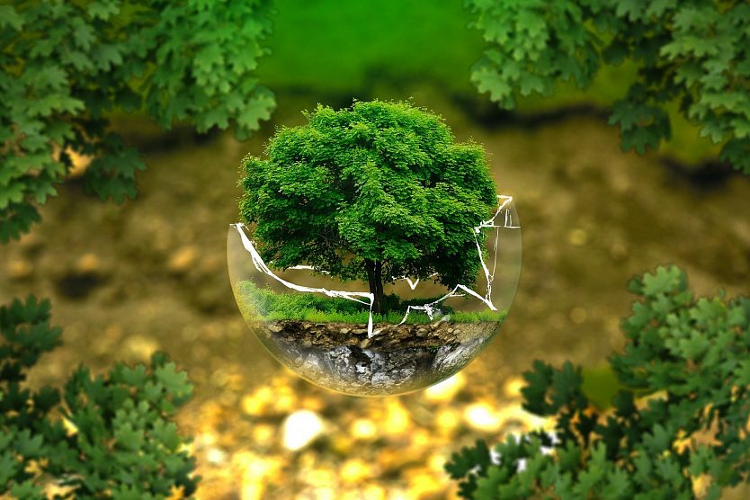environmental_protection_326923_1920.jpg