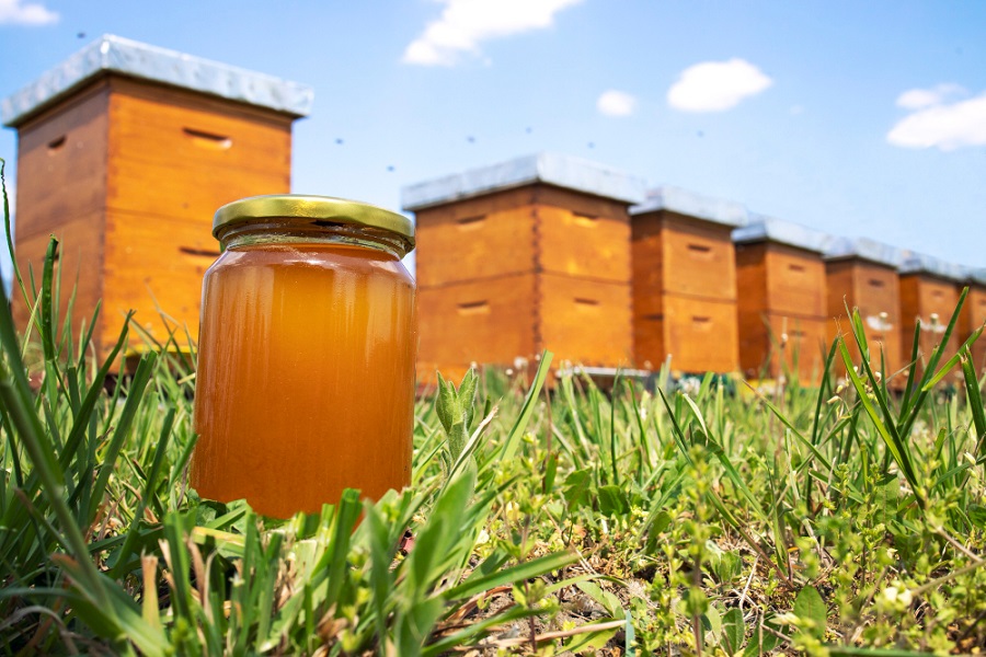 honey-jar-and-beehives-on-meadow-in-springtime.jpg