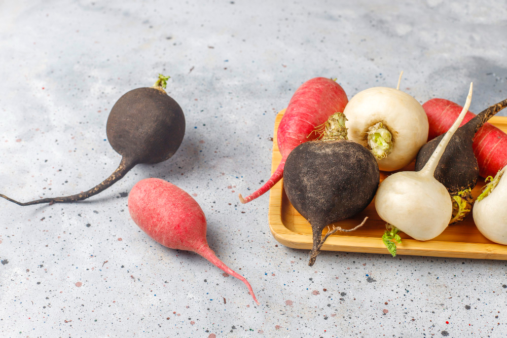 various-fresh-radishes-white-radish-long-pink-radish-and-black-radish.jpg