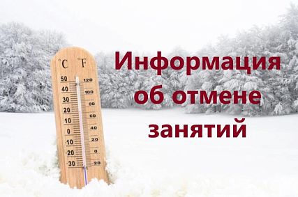 Информация об отмене очных занятий в Новотроицке на 10 января