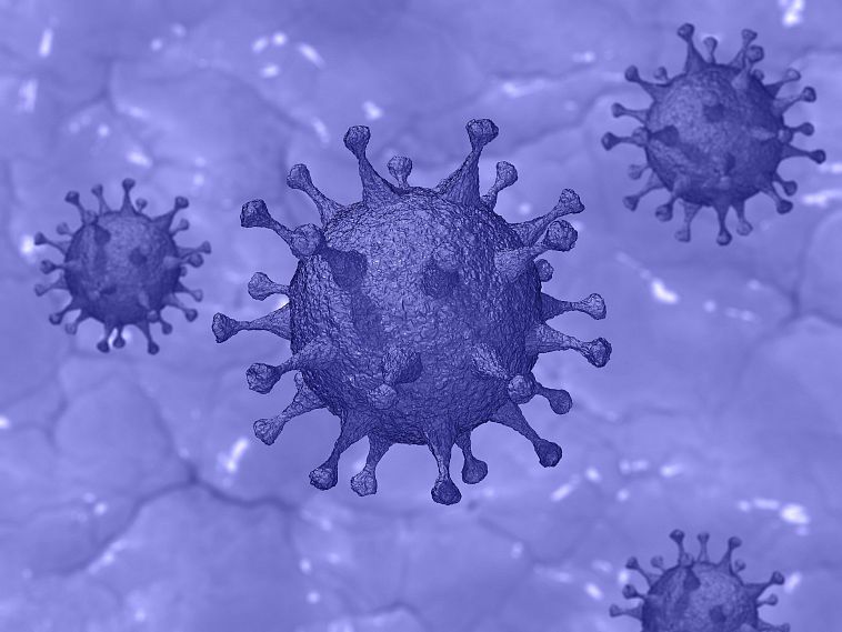 Распространение коронавируса в Оренбургской области на 15 февраля 2021 года: шесть новых смертей 