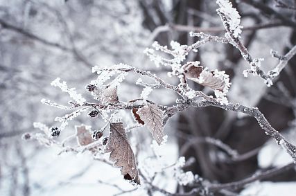 Что случилось в новотроицке сегодня. Смотреть фото Что случилось в новотроицке сегодня. Смотреть картинку Что случилось в новотроицке сегодня. Картинка про Что случилось в новотроицке сегодня. Фото Что случилось в новотроицке сегодня