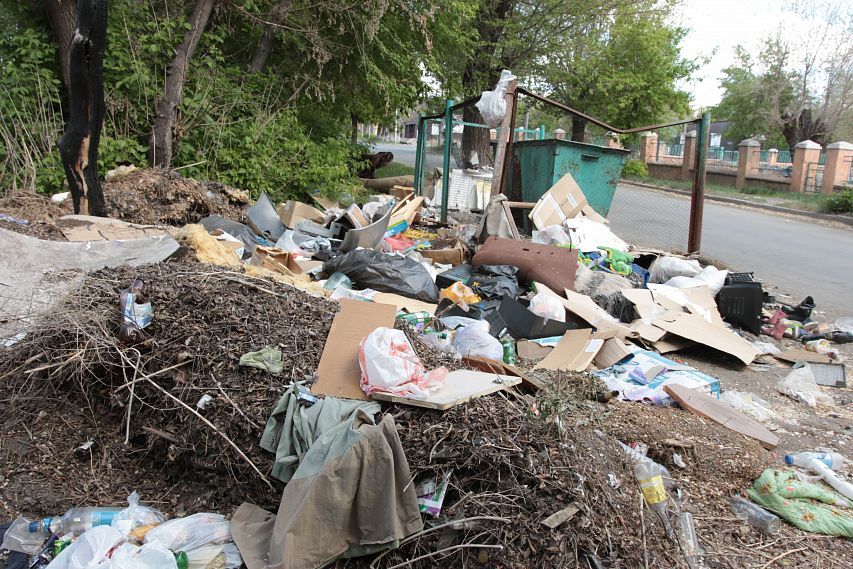 Вывозом мусора в Новотроицке собирается заняться оренбургская компания