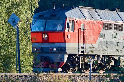 Новотройчанин получил срок за нападение на полицейских в поезде