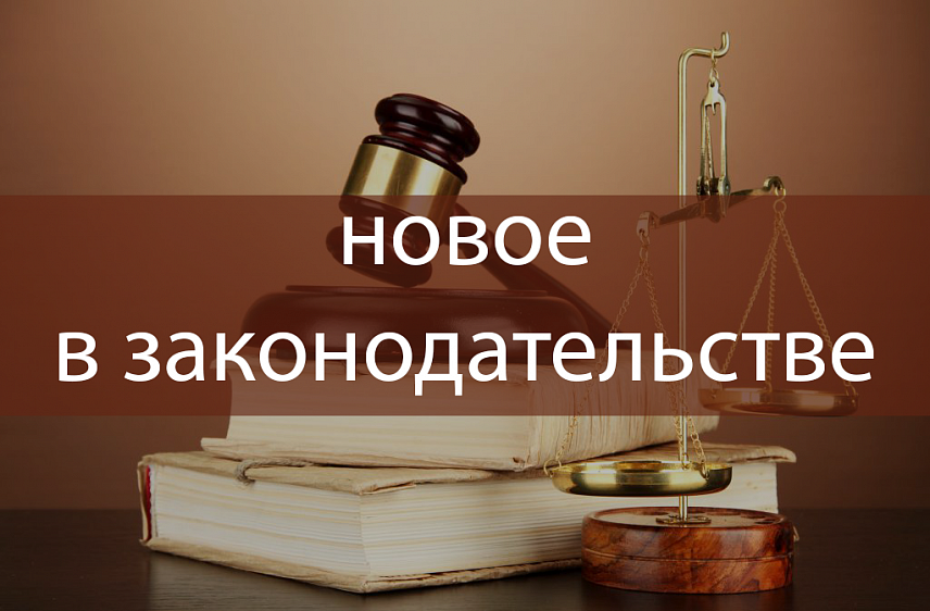 Законы сентября: россиян ждут правовые изменения