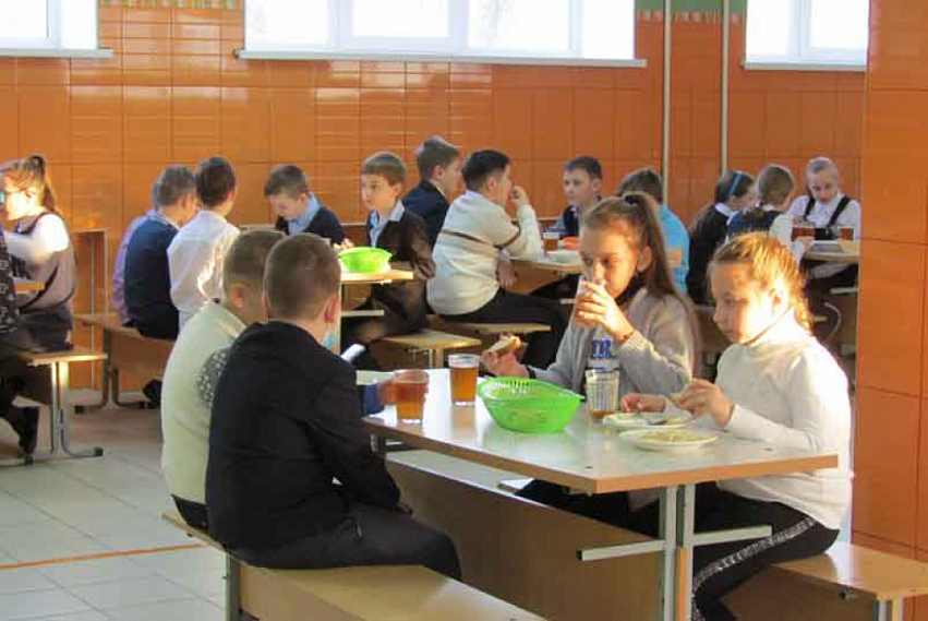Министерство образования запустило опрос по вопросам качества питания в школах