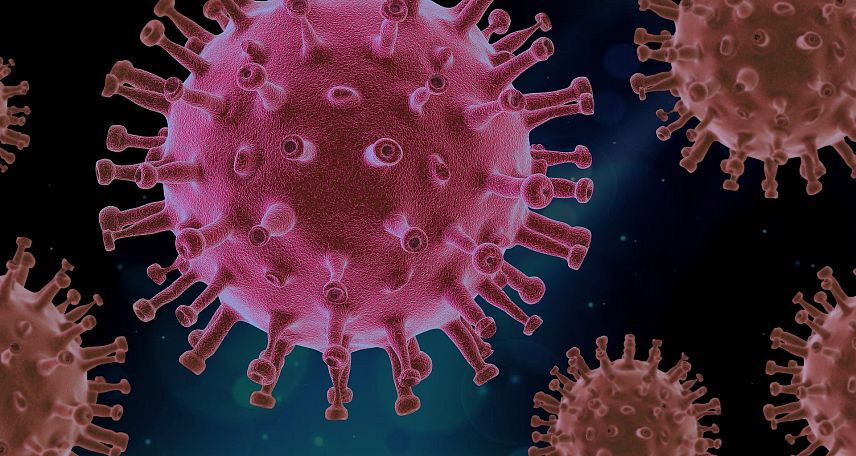 Распространение коронавируса в Оренбургской области на 10 февраля 2021 года: еще шесть летальных исходов 