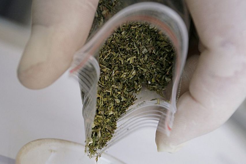 Полицейские нашли у новотройчанина марихуану
