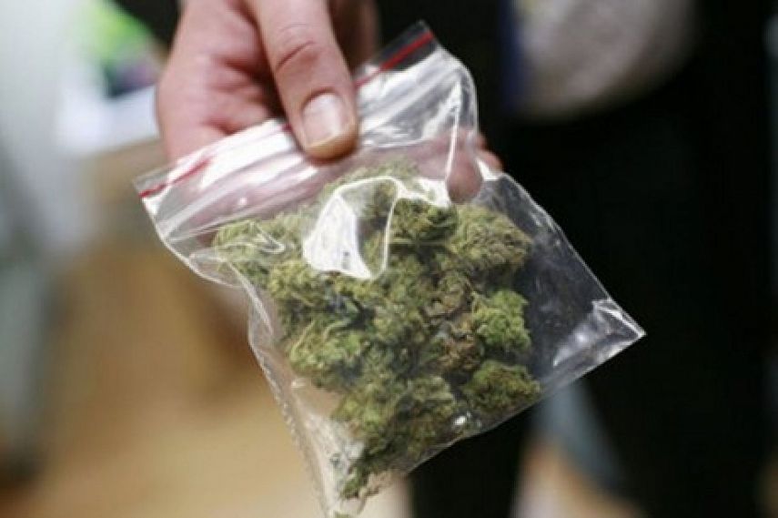 Полицейские задержали новотройчанина с марихуаной 