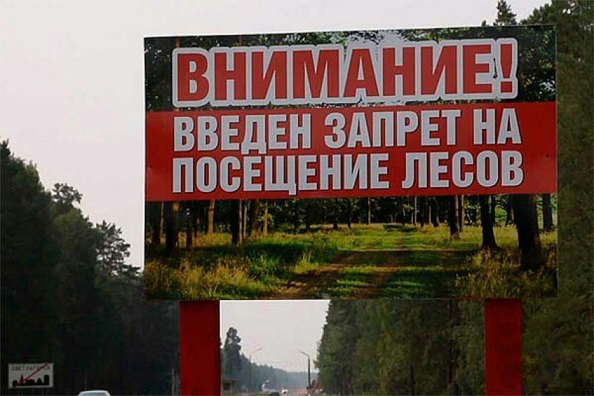 Жителям Оренбургской области запретили ходить в лес