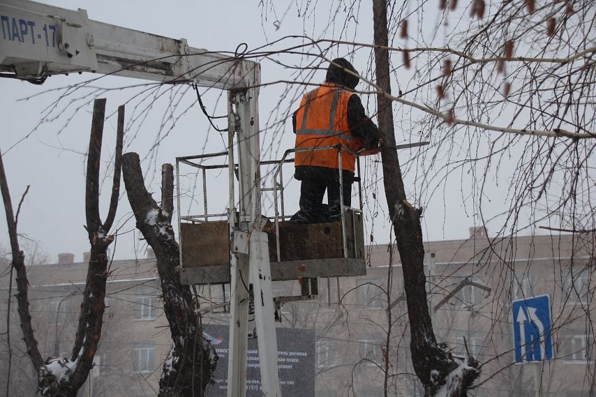 В Новотроицке начали обрезать деревья