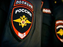 Новотройчанка ударила полицейского ногой в спину