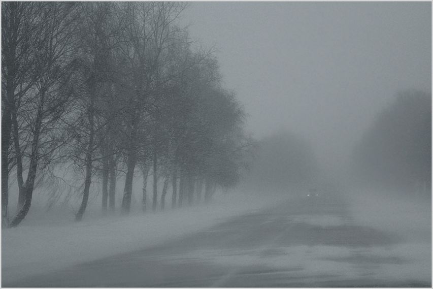 Туман, изморозь и гололед: ближайшие сутки оренбуржцам стоит быть внимательными на дорогах 