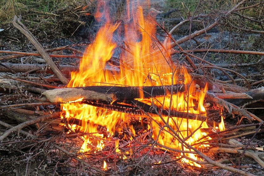 В России на территории частных домов запретили сжигать мусор и разводить костры