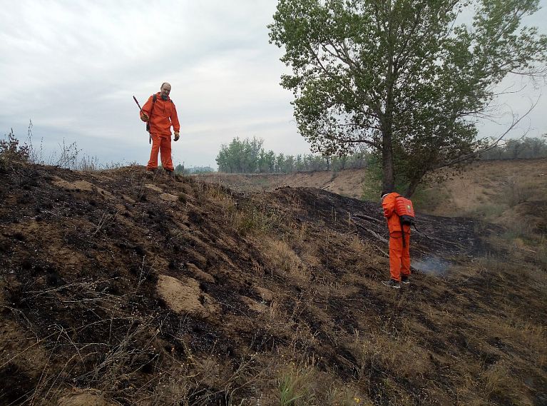В Новотроицке выгорело 2 гектара лесополосы