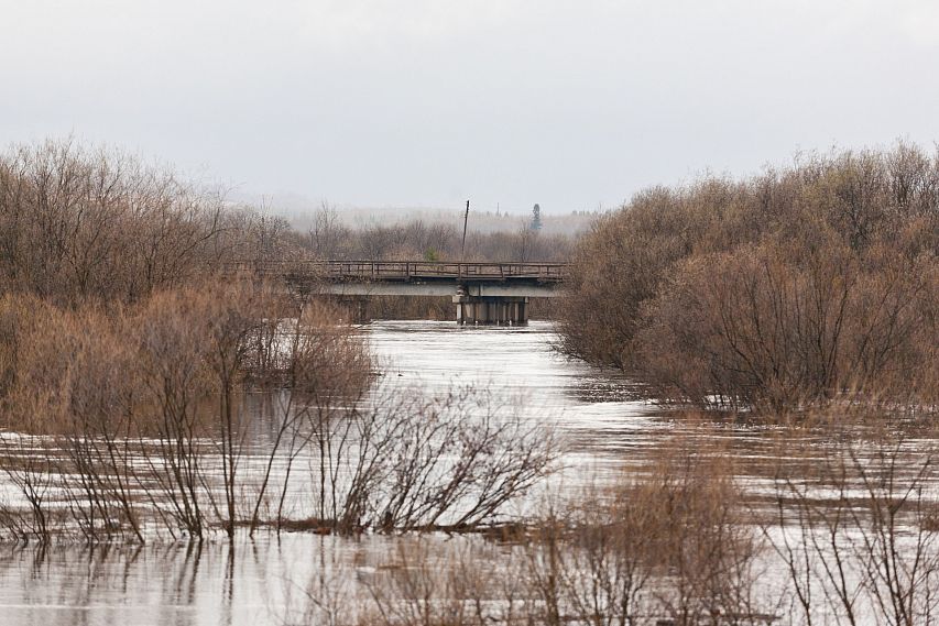 Из-за разлива Ори подтоплен низководный мост в Орске