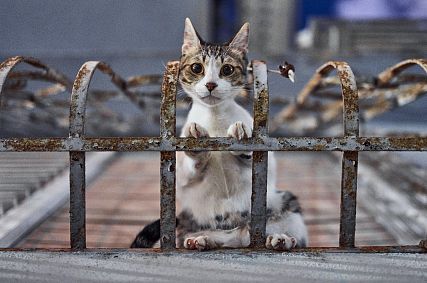 Что случилось в новотроицке сегодня. Смотреть фото Что случилось в новотроицке сегодня. Смотреть картинку Что случилось в новотроицке сегодня. Картинка про Что случилось в новотроицке сегодня. Фото Что случилось в новотроицке сегодня