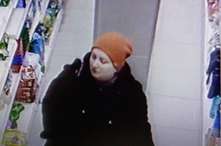 Полиция Новотроицка разыскивает подозреваемую в краже