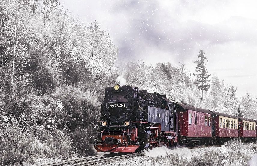 Новотройчане могут отправиться в новогоднее трёхдневное путешествие на поезде 